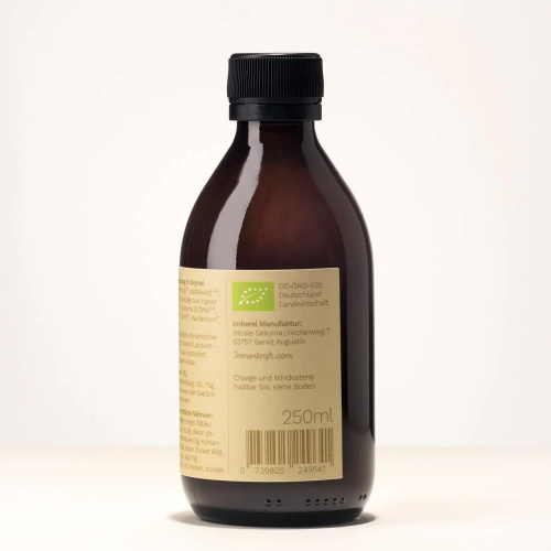 Immenkraft Ingwer, Kurkuma & Co. Demeter-Oxymel, 250 ml (25 Portionen)